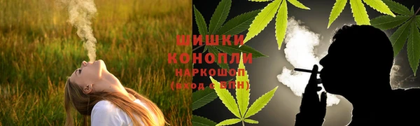 ПСИЛОЦИБИНОВЫЕ ГРИБЫ Алексин