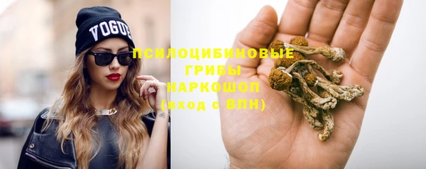 МДПВ Алзамай