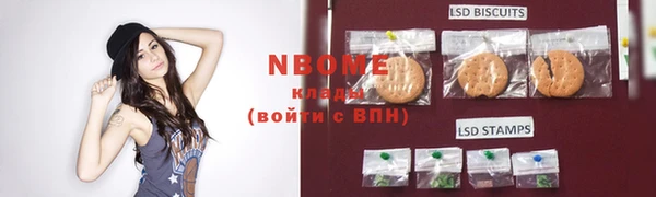 МДПВ Алзамай