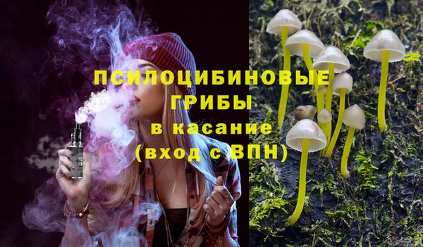 spice Алексеевка